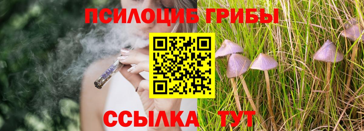 Псилоцибиновые грибы прущие грибы  Вход с VPN  Архангельск  Псилоцибиновые грибы мухоморы 