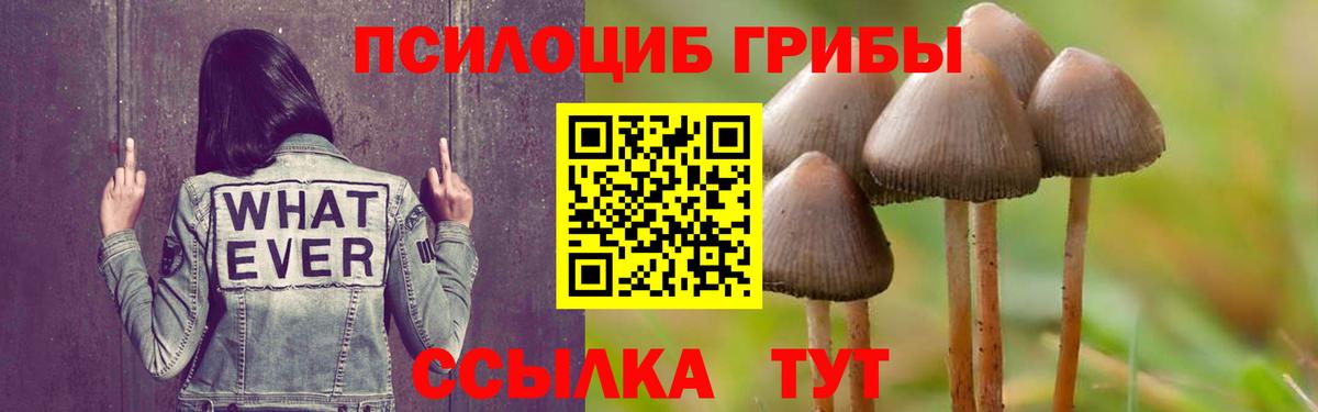Псилоцибиновые грибы ЛСД Архангельск